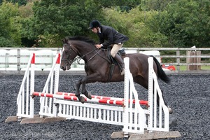 Class 6 - Fences not above 2'9